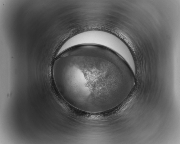 X0000093400401200710190929