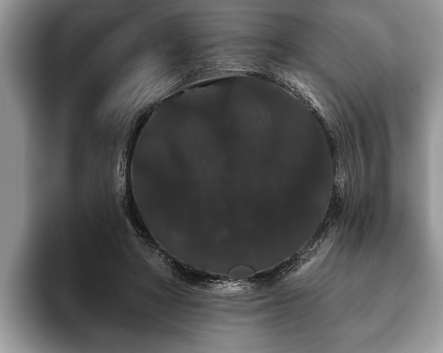X0000093400402200710190929