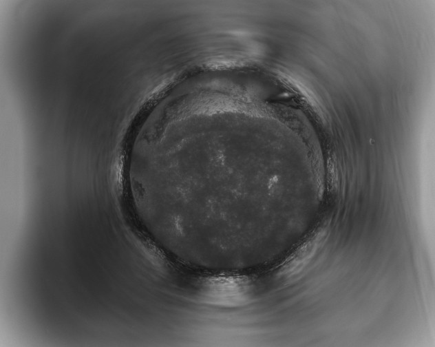 X0000093400404200710190929