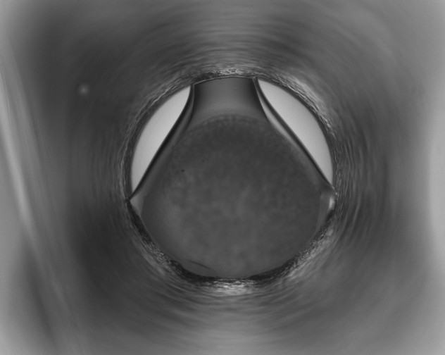 X0000093400405200710190929