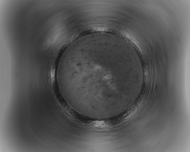 X0000093400406200710190929