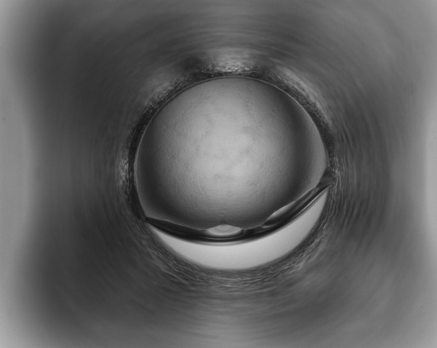 X0000093400407200710190928