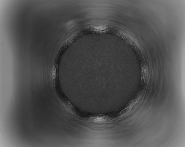 X0000093400412200710190928