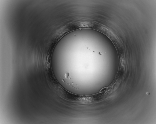 X0000093400422200710190928