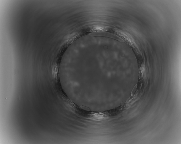 X0000093400423200710190928