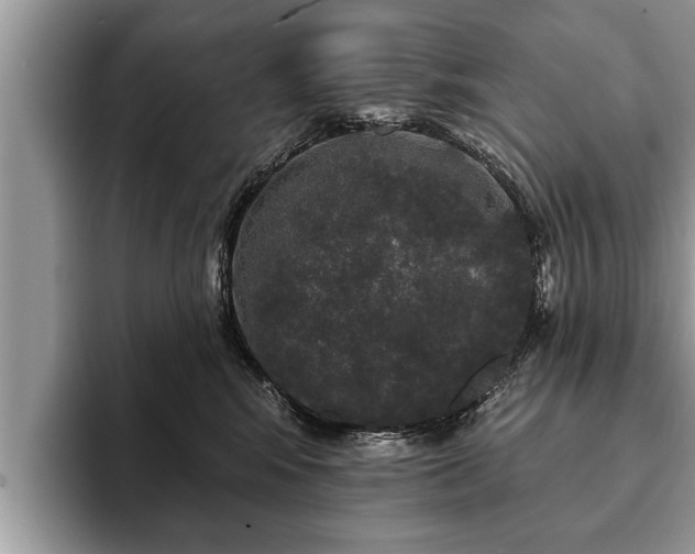 X0000093400424200710190928