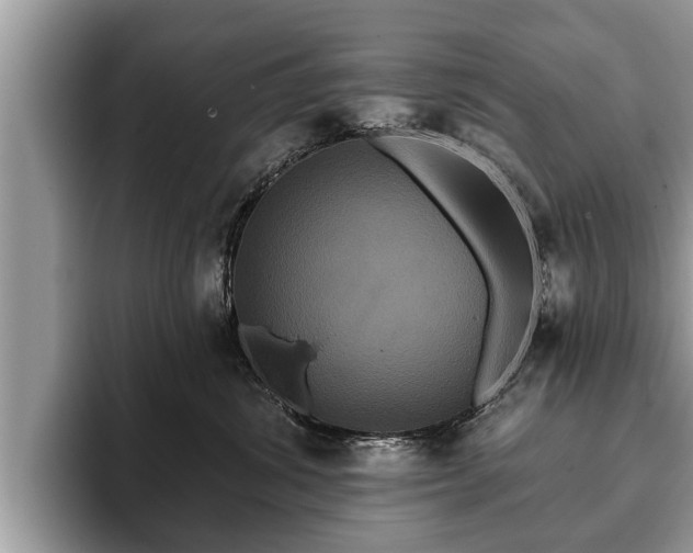 X0000093400428200710190928