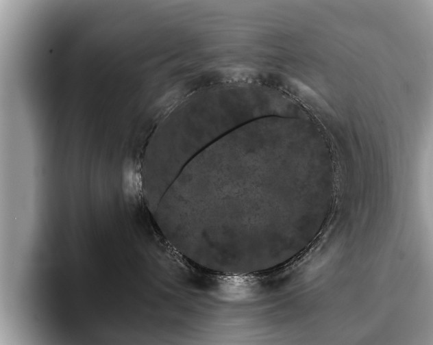 X0000093400432200710190928