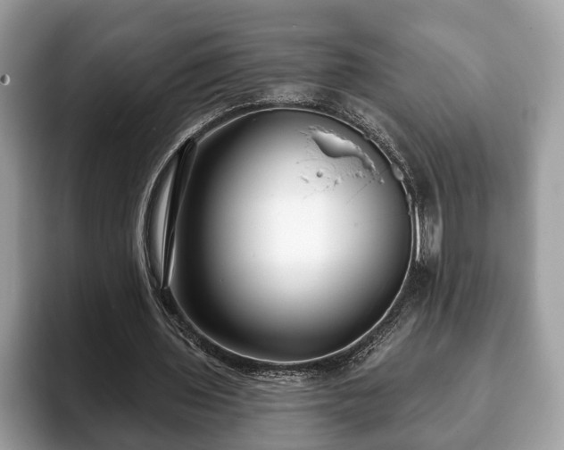 X0000093400435200710190927