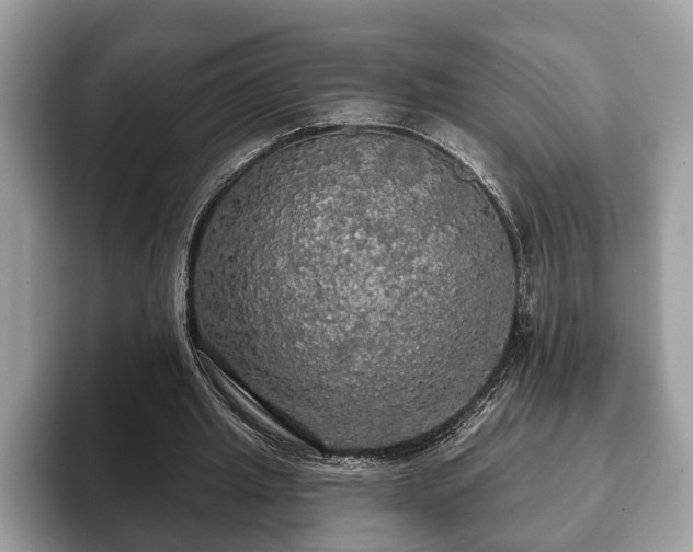 X0000093400437200710190927