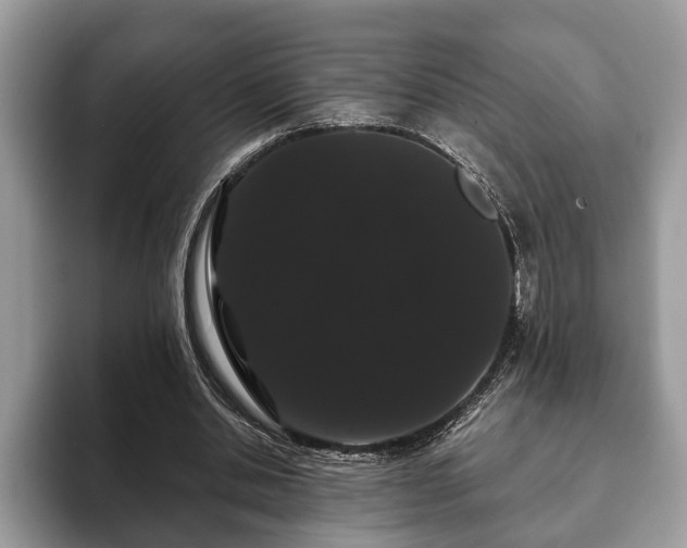 X0000093400438200710190927