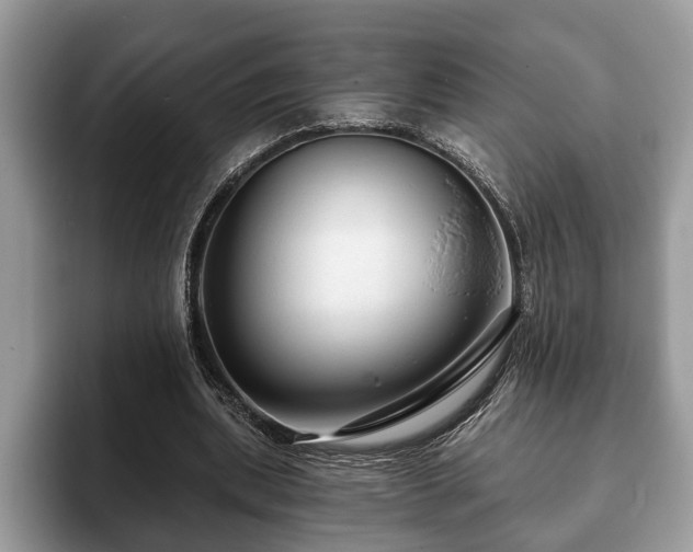 X0000093400439200710190927