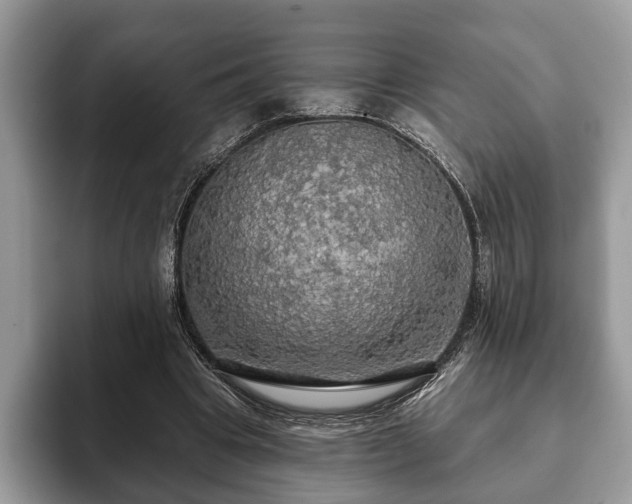 X0000093400441200710190927