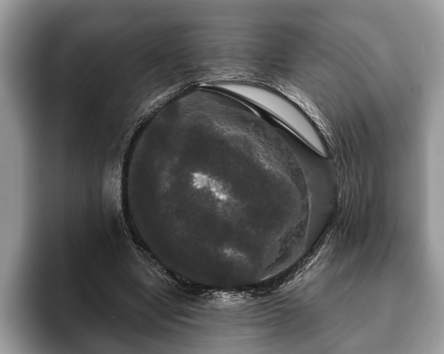 X0000093400442200710190927