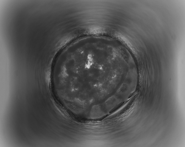 X0000093400443200710190928