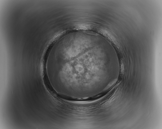 X0000093400444200710190928