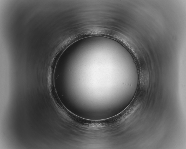 X0000093400445200710190928