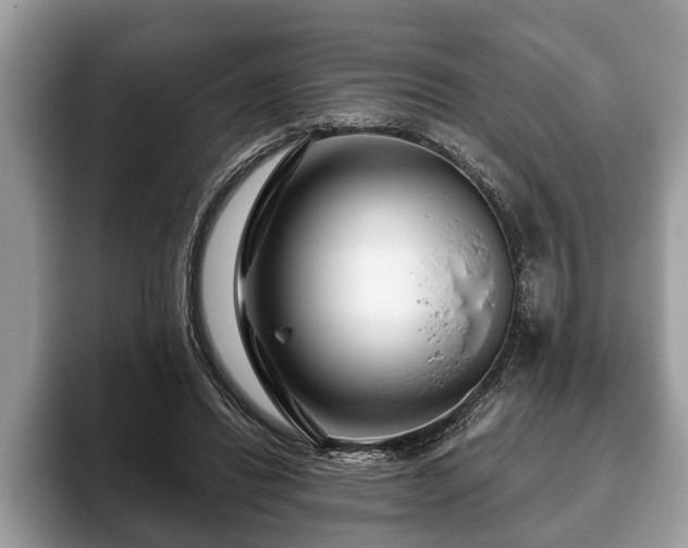 X0000093400446200710190928