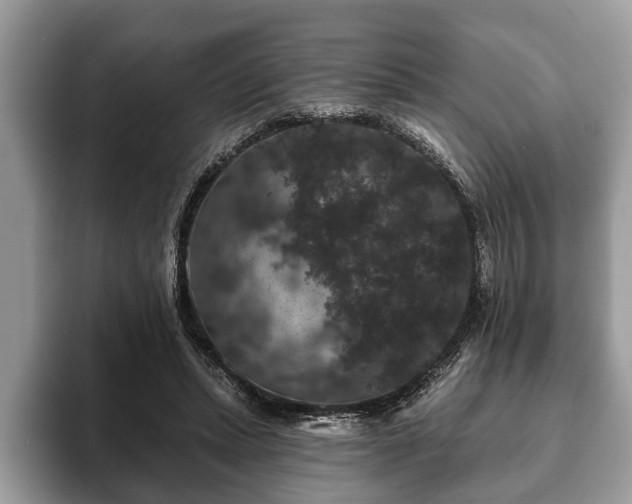 X0000093400447200710190928