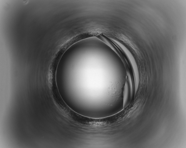 X0000093400448200710190928