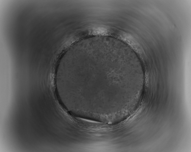 X0000093400449200710190928