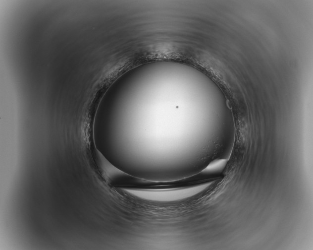X0000093400450200710190928