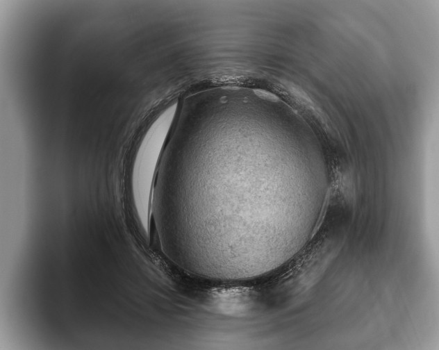 X0000093400452200710190928
