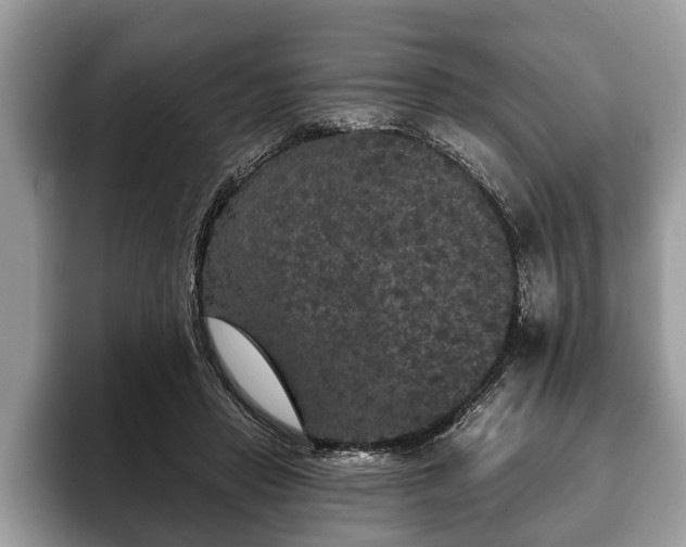 X0000093400453200710190928