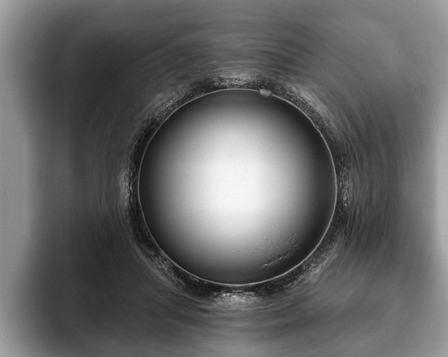 X0000093400455200710190928