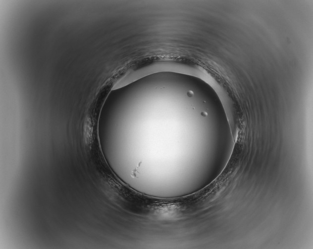 X0000093400456200710190928