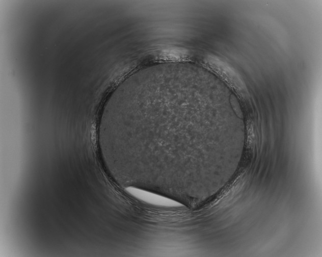 X0000093400457200710190928