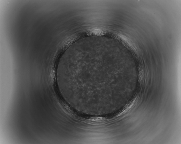 X0000093400459200710190928