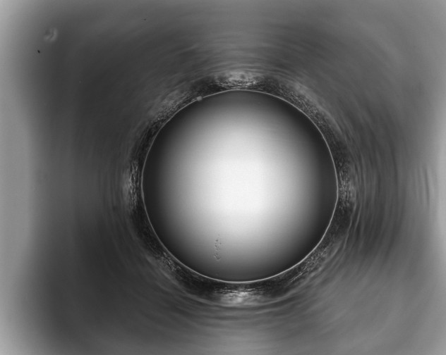 X0000093400460200710190928
