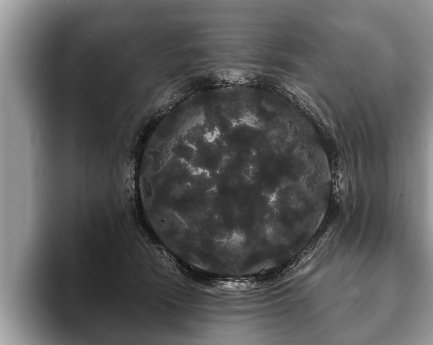 X0000093400466200710190928