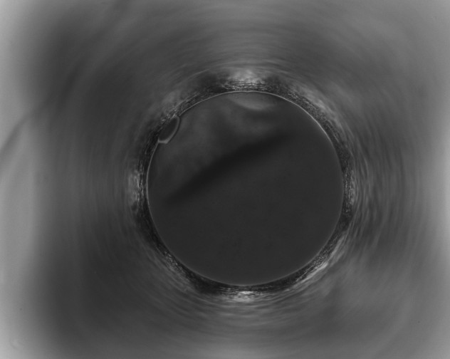 X0000093400467200710190928