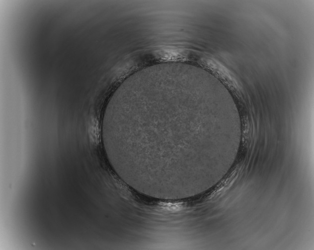 X0000093400469200710190928