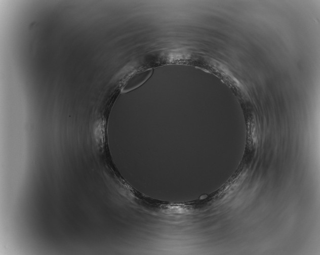 X0000093400475200710190928