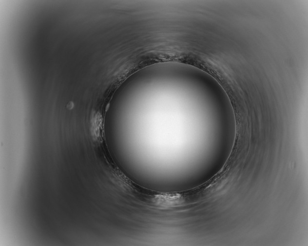 X0000093400480200710190928
