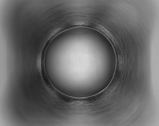 X0000093400482200710190927