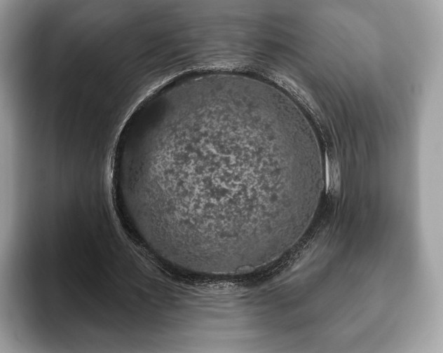 X0000093400483200710190927