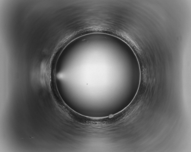 X0000093400486200710190927