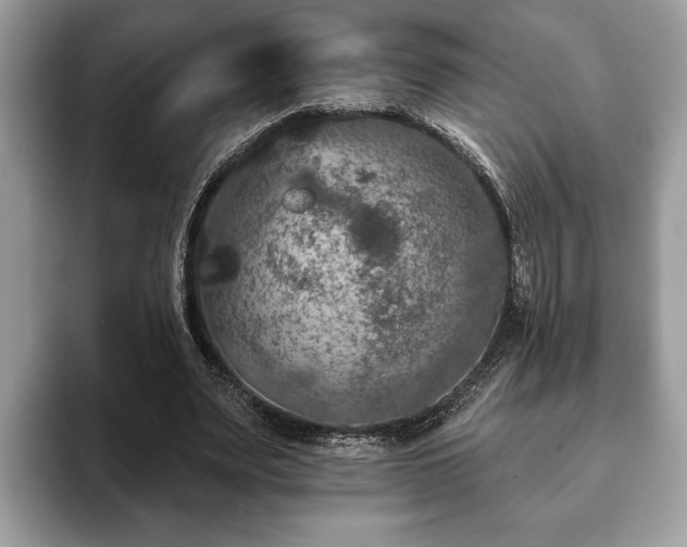 X0000093400487200710190927