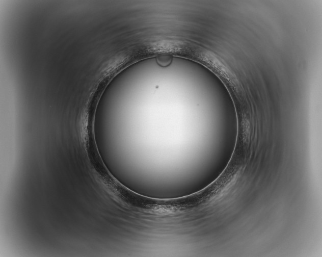 X0000093400490200710190927