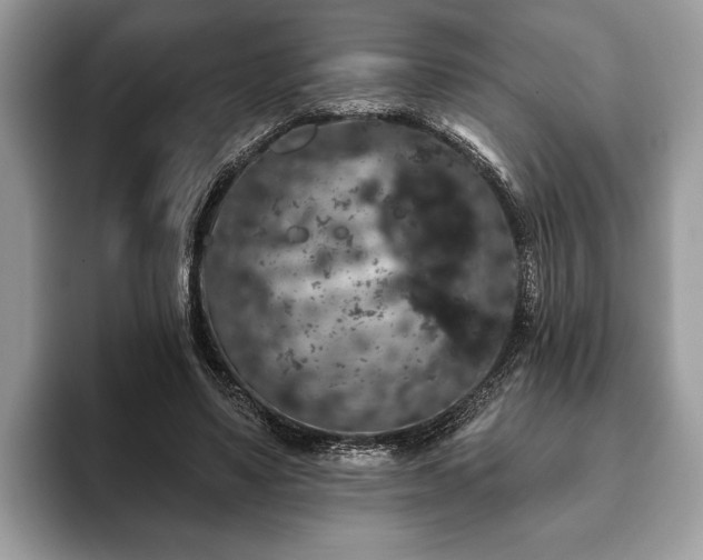 X0000093400491200710190927