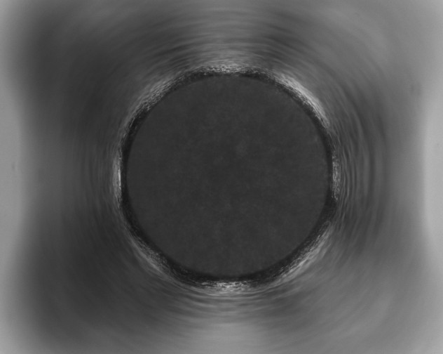 X0000093400493200710190927