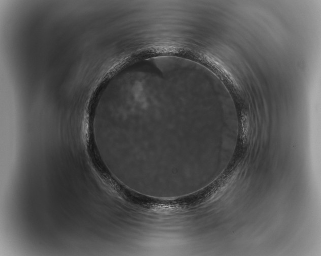 X0000093400494200710190927
