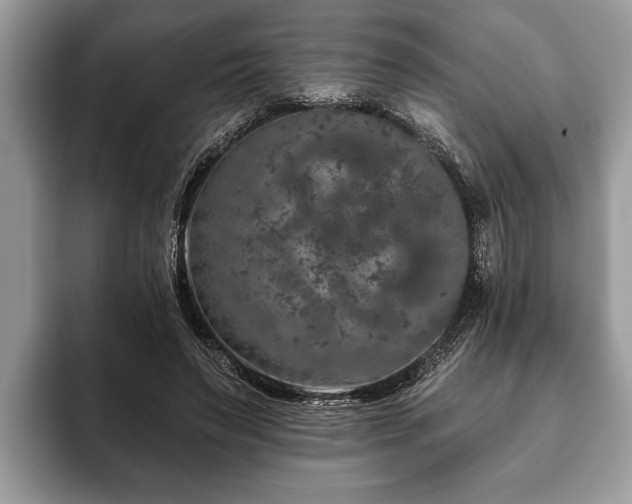 X0000093400495200710190927