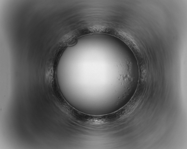 X0000093400498200710190927