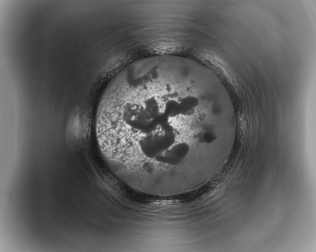 X0000093400499200710190927