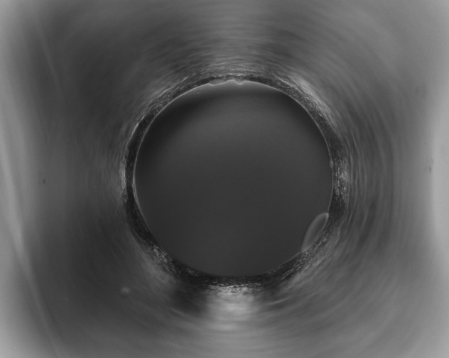X0000093400500200710190927